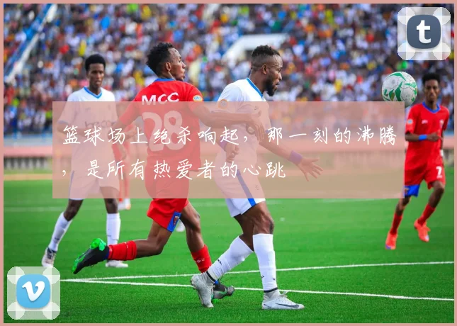 篮球场上绝杀响起,那一刻的沸腾,是所有热爱者的心跳